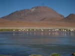 CHL-100204-0001 – Salar de Tara – That’s a frozen lake